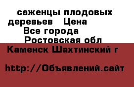 саженцы плодовых деревьев › Цена ­ 6 080 - Все города  »    . Ростовская обл.,Каменск-Шахтинский г.